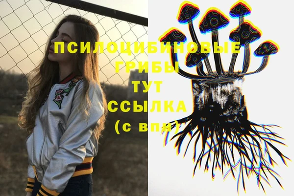 ПСИЛОЦИБИНОВЫЕ ГРИБЫ Аксай