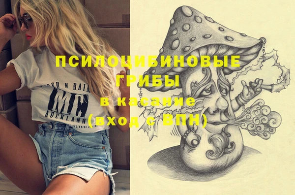 mix Нижний Тагил