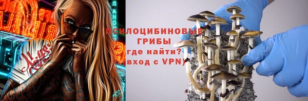 гашик Алапаевск
