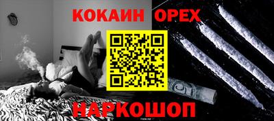 крисы Можга