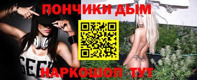 крисы Можга