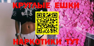 крисы Можга