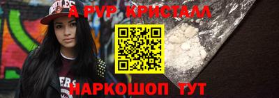 крисы Можга