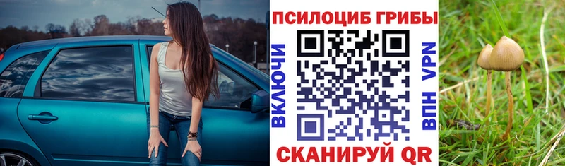 Псилоцибиновые грибы Magic Shrooms  shop какой сайт  Раменское 