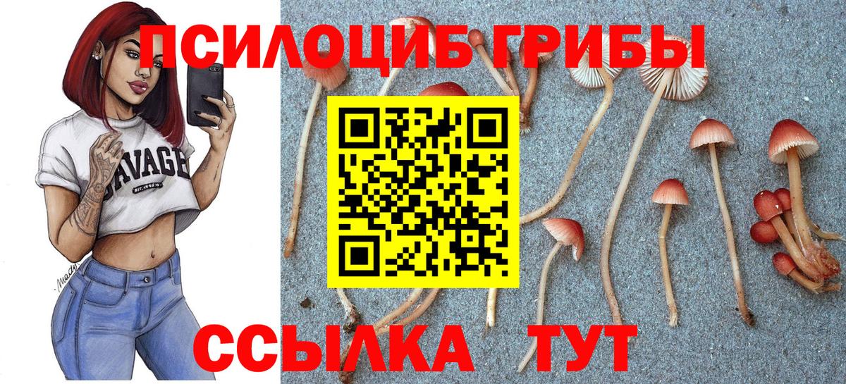 Псилоцибиновые грибы ЛСД  Раменское 