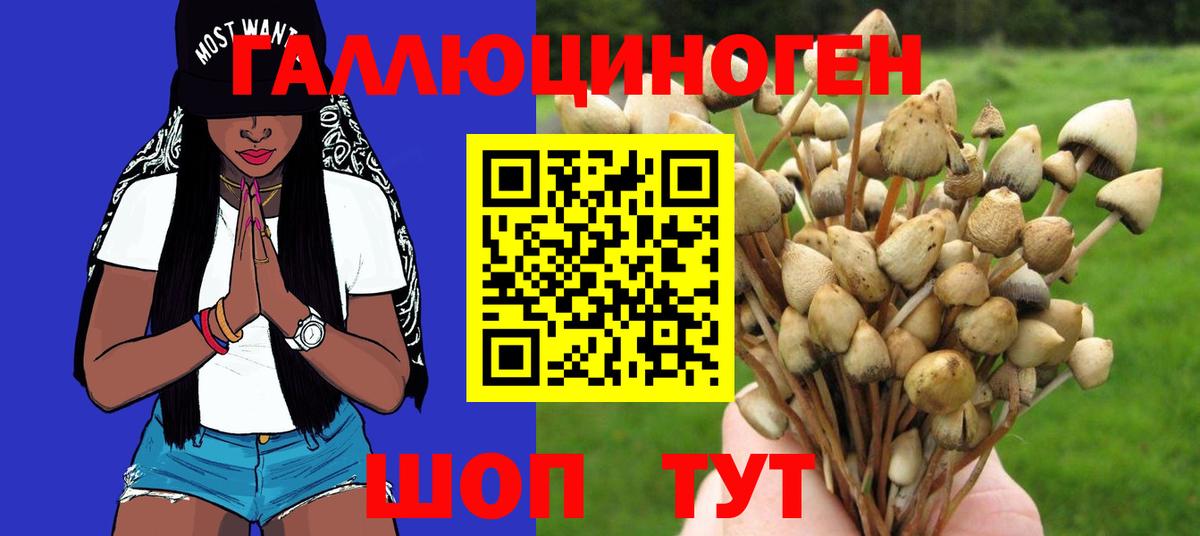 Раменское  Псилоцибиновые грибы ЛСД  Вход с VPN 