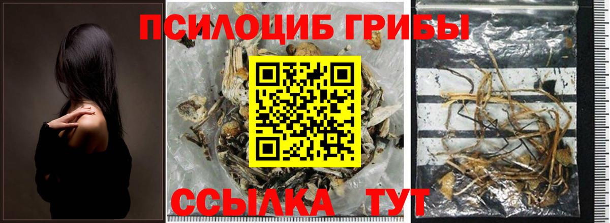 Галлюциногенные грибы мухоморы Раменское